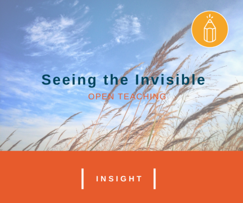 Open Teaching: Seeing the Invisible